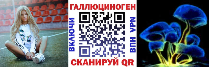как найти   Гаврилов-Ям  Галлюциногенные грибы мухоморы 